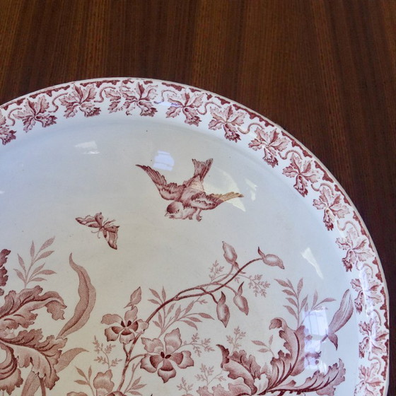 Image 1 of Sehr große Vogelschale aus dem 19. Jahrhundert, signiert St. Amand, Orchideensammlung