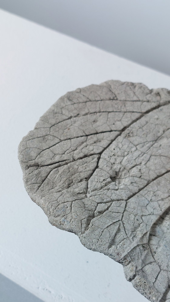 Image 1 of Coupe à fruits vintage en béton coulé, motif de feuille, pour bain d'oiseaux.