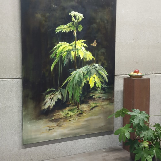 Image 1 of Botanical painting Cow Parsnip