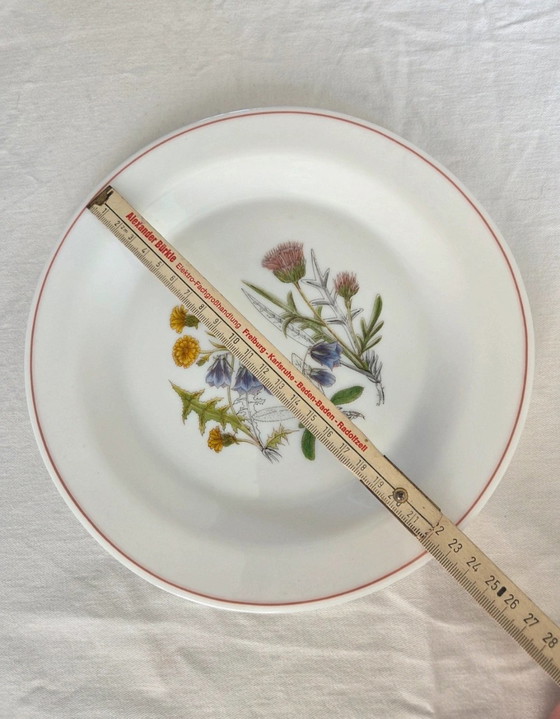 12-Piece Plates (6 + 6), Opal Glass/Milk Glass – Arcopal France, Crockery, Porcelain (photo 5 of 9)