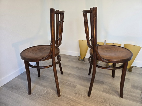 Image 1 of Thonet Mudson J. & J. Kohn Chaises de bistrot en bois courbé