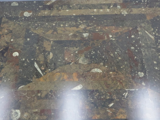 Image 1 of Vintage coffee table Laauser Natural stone fossil
