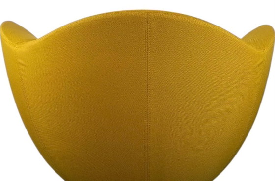 Cappellini Dali Marcel Wanders refurbished – Armchairs, Metal, Textile (photo 5 of 5)