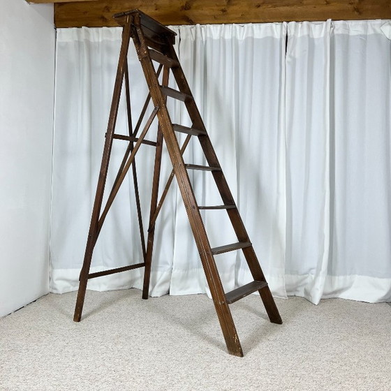 Große, patinierte Malerleiter aus Holz, 20. Jahrhundert. – Dekorative Objekte, Wood (photo 4 of 12)