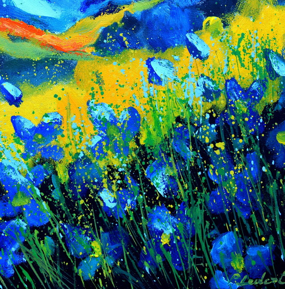 Image 1 of Blauwe wilde bloemen