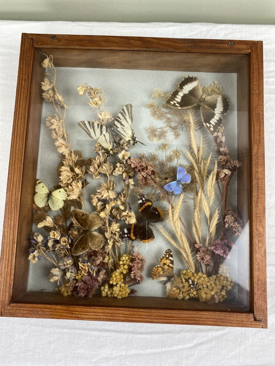 Image 1 of Eingerahmte Schmetterlinge und Blumen