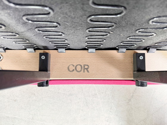 Image 1 of Divano COR Jalis originale Jehs &amp; Laub Felt Magenta Design