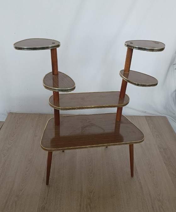 Zestiger Jaren Plantentafel – Metal, Wood (photo 2 of 8)