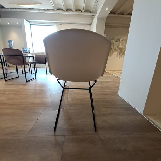 Image 1 of Chaise de salle à manger Bertoia de Knoll International