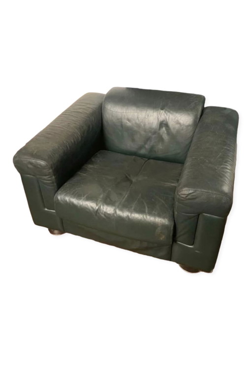 Borsani Tecno model D120 loungestoel