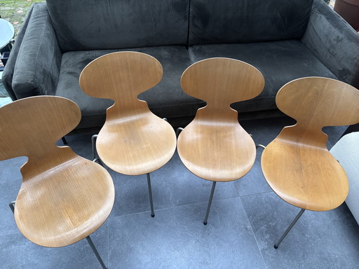4 Fritz Hansen / Arne Jacobsen Chaise 3 pieds
