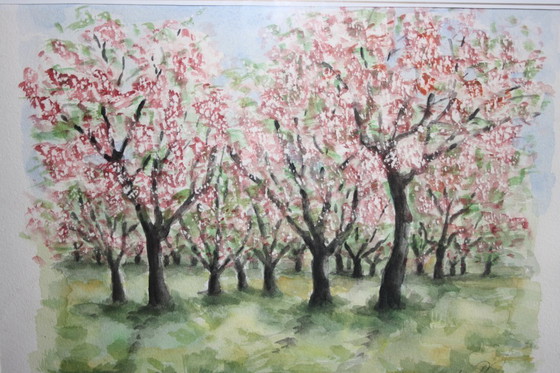 Image 1 of Acquerello "Paesaggio" - edizione limitata 4/96 - su carta