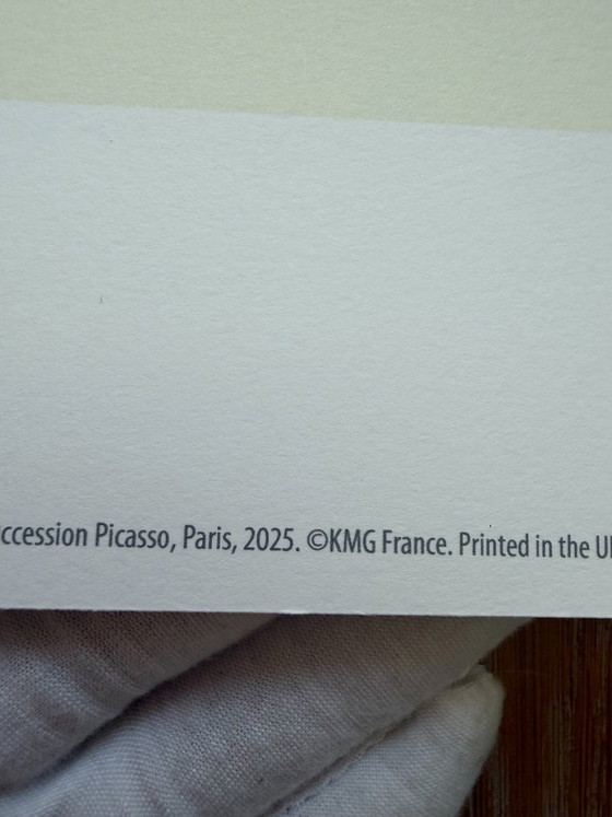 Image 1 of Pablo Picasso (1881-1973), El perro, copyright Succession Picasso, París, 2025. Impreso en el Reino Unido.