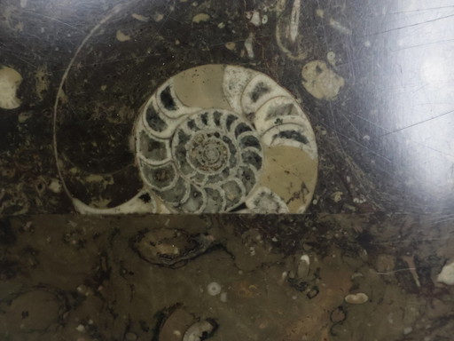 Vintage coffee table Laauser Natural stone fossil