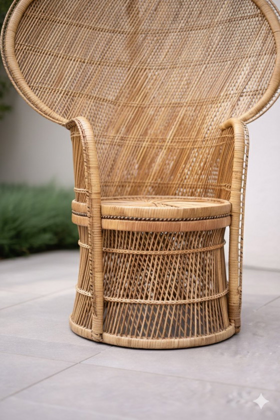 Image 1 of Silla de pavo real