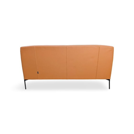 Image 1 of Tacchini Montevideo Tweezitsbank, designbank, bruin leer
