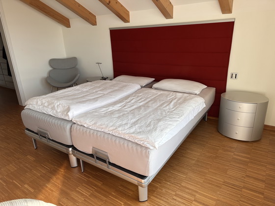 Image 1 of Cama Röwa Genio con tapiz de fieltro rojo