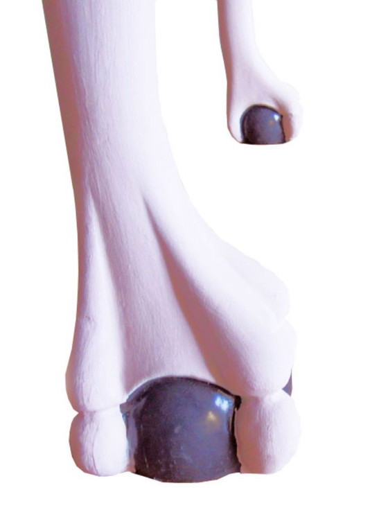 Image 1 of Sedia antica in legno in stile Chippendale vintage