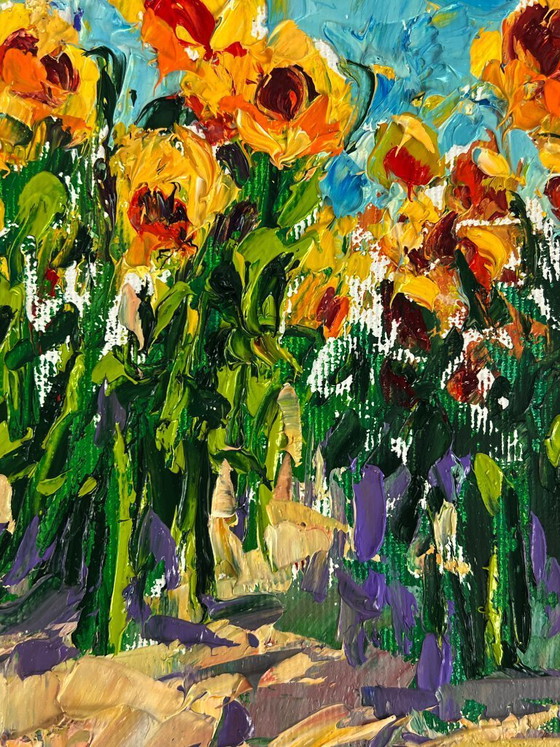 Image 1 of Sunflowers Grow in the Field