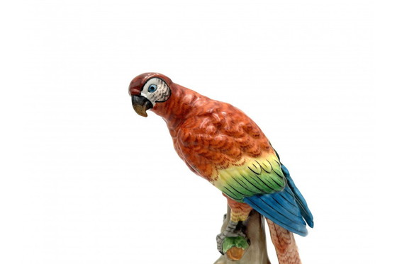 Image 1 of Estatuilla de porcelana de un loro, Sitzendorf, Alemania, principios del siglo XX.