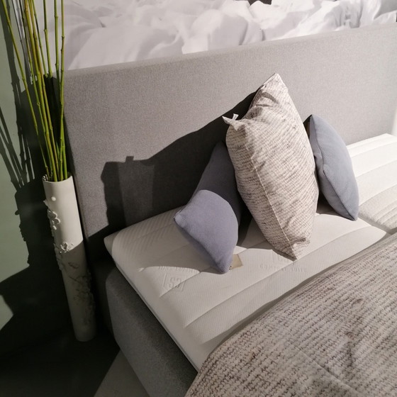 Image 1 of Cama tapizada Manchester Grey