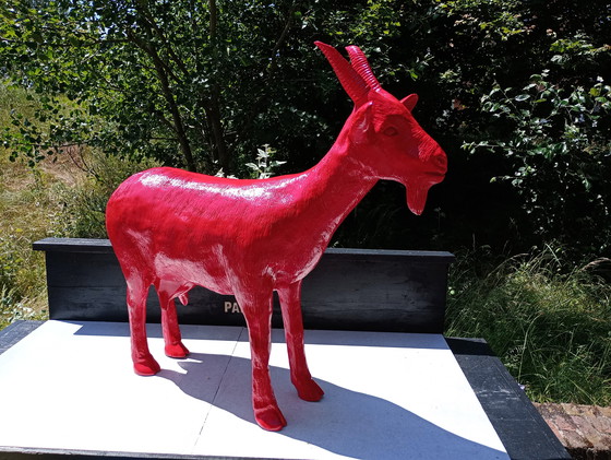 Image 1 of Cloned Red goat sweetlove William 