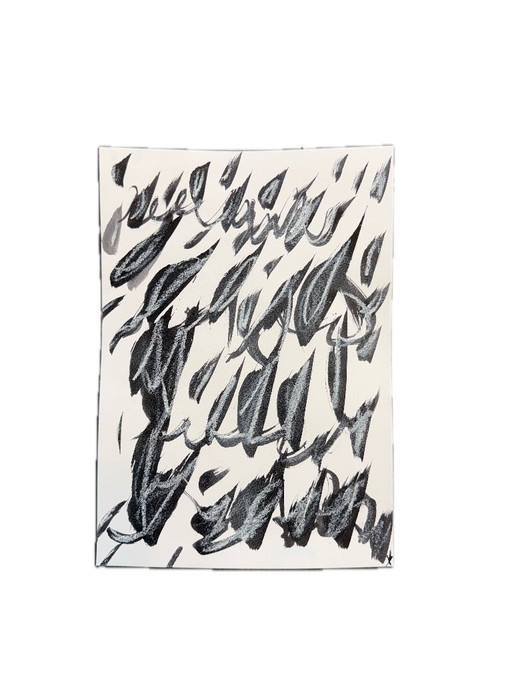 Samenvattingstudie op papier van Alexandre. CT-2