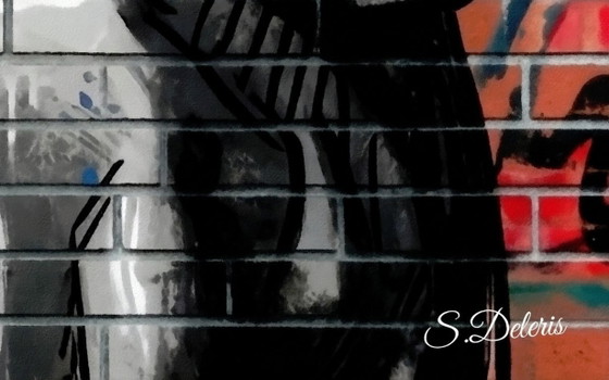 Image 1 of Stampa su tela di Vermeer Street Art / (80x60 cm)