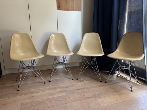 4x Eames Miller Vitra DSR Fiberglas-Seitenstühle – Pergament