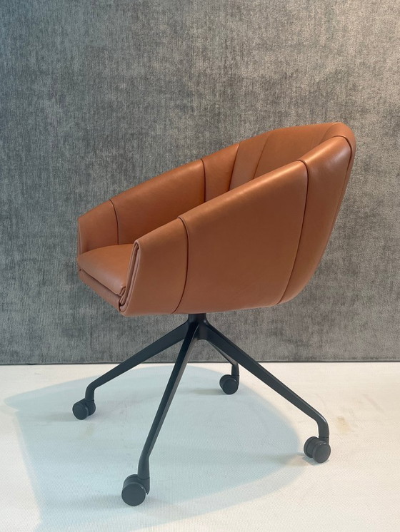 Image 1 of MONTIS Luna M0137