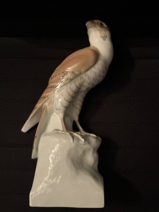 Image 1 of Very beautiful Falcon '