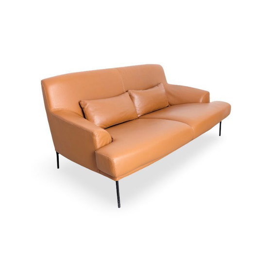 Image 1 of Tacchini Montevideo Tweezitsbank, designbank, bruin leer