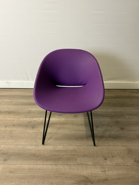 Image 1 of Artifort Beso Stoel