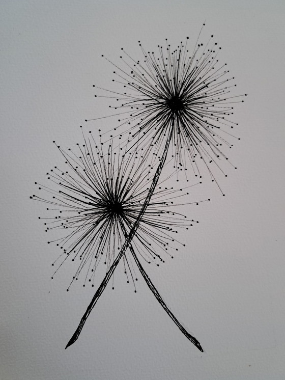 Image 1 of Illustration Dandelion | Dark Brown Frame