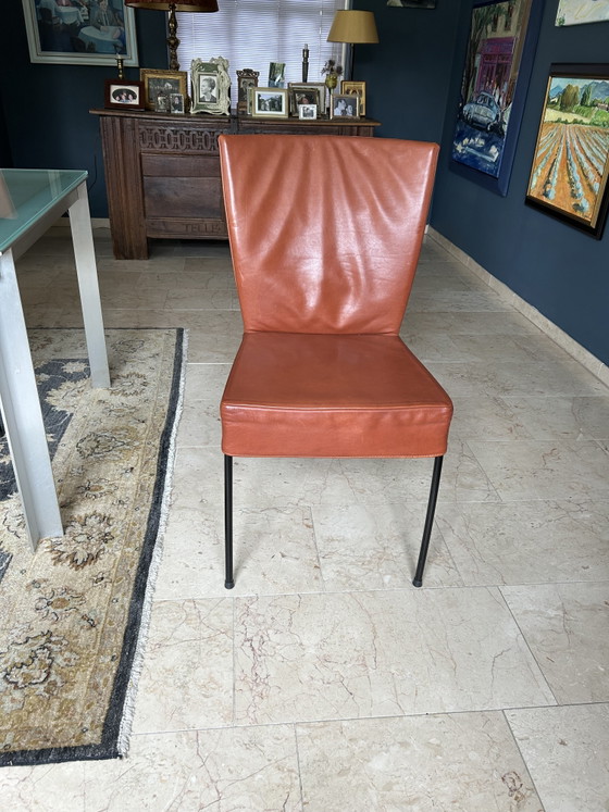 8 x Marchio Spica’s Montis – Sedie da pranzo, Leather (photo 3 of 5)