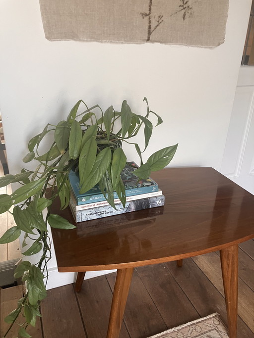 Mid-century side table / plant table