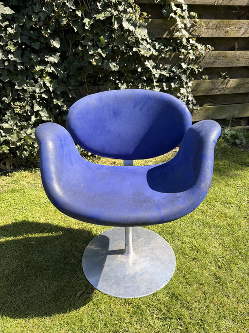 Little tip Artifort (blue)