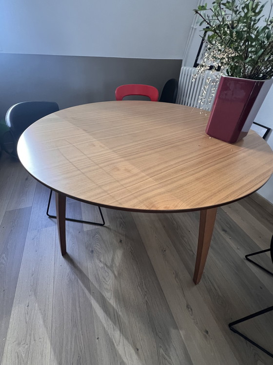 Image 1 of Table GUBI ronde noyer 