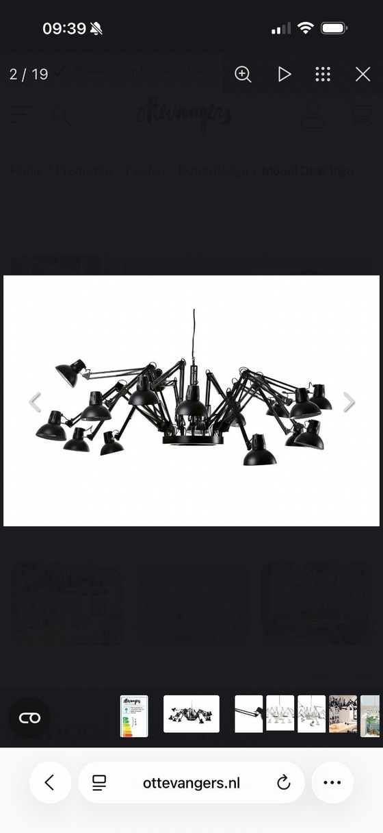 Image 1 of Estimada lámpara colgante Ingo negra de Moooi.