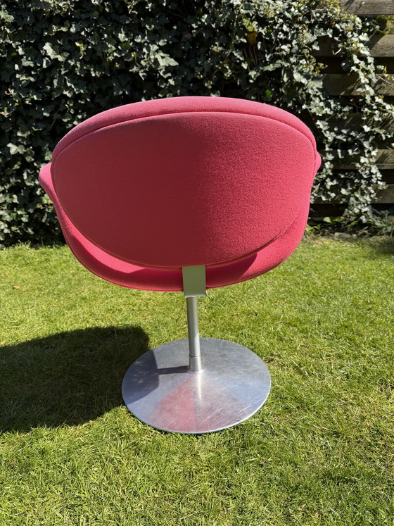 Image 1 of Little tulip Artifort (pink)