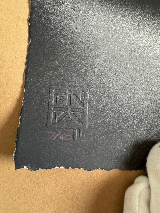 Image 1 of FIN DAC – Haiconca (Rosa) - Edizione /40 – Firmato a mano e numerato - COA