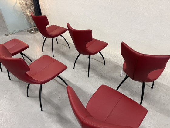 Image 1 of 6 Leolux Callas dining chair Senso Brick