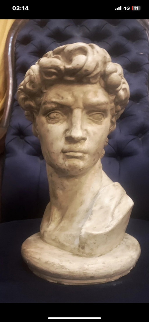 Bust of David Michelangelo, handcrafted in 2000