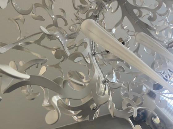 Image 1 of MarqueVanEgmond flowerpower