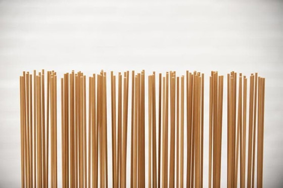 Image 1 of Extremis Sticks Ruimtescheider