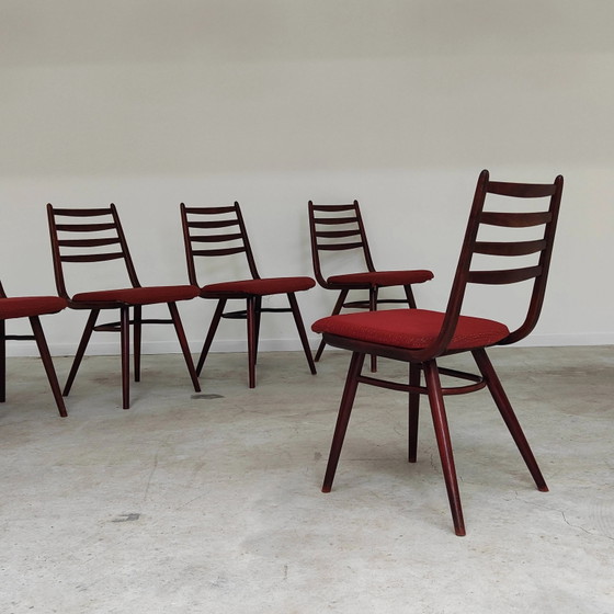 Set of 6 Jitona Sobeslav chairs, Czechoslovakia 1960 – Dining chairs, Mid Century Modern (photo 5 of 21)
