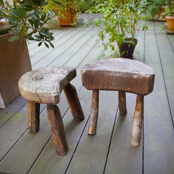 Image 1 of Pair of Brutalist tripod stools in grey pine. France, 50s