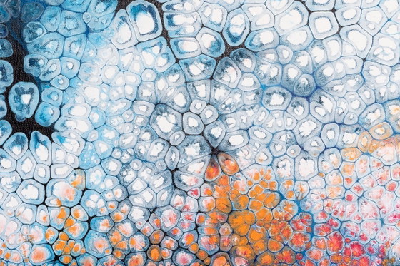 Image 1 of Flor de hielo