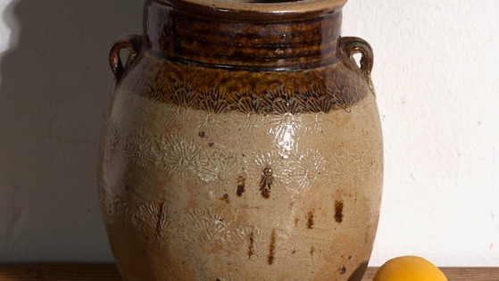 Antike chinesische glasierte Steingutvase – China, ca. 1900 – Vasen, Ceramic, Rustic (photo 3 of 39)