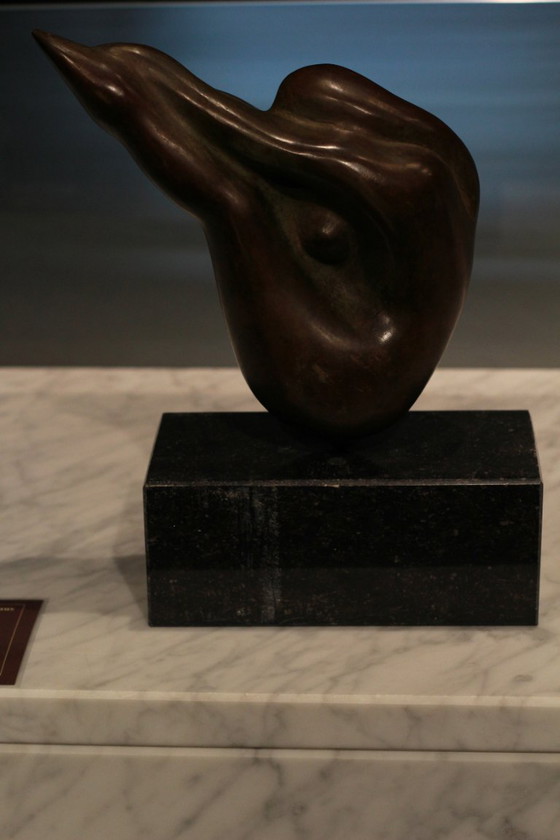 Image 1 of Exercise - Emile Cornelis